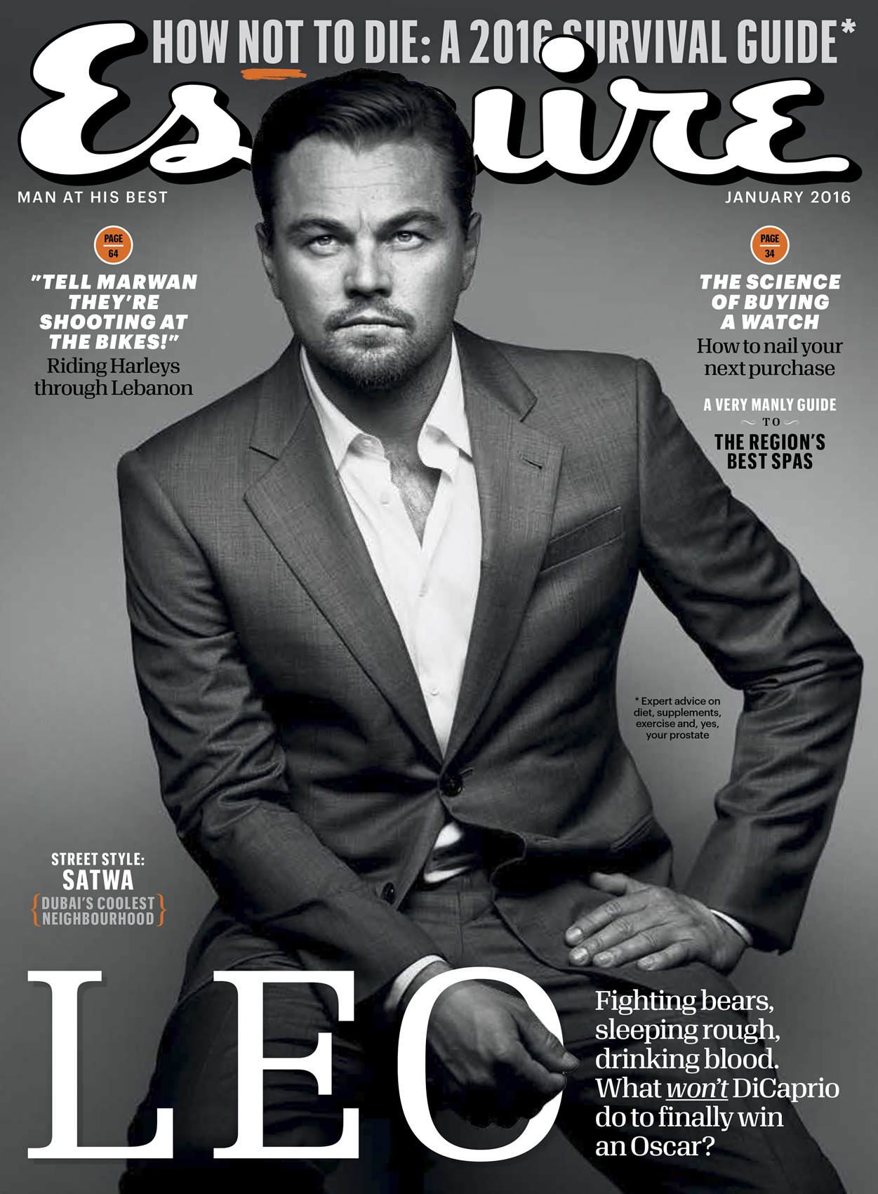 Leonardo_ESQME_web